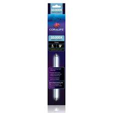Coral Life Actinic Blue 6w 9"
