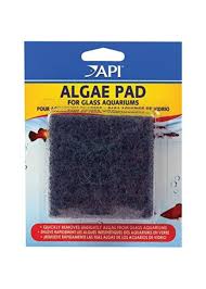 API Algae Pad/Glass Hand Held