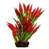 Underwater Treasures Vasiliki Crypt - Red/Green