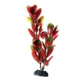 Underwater Treasures Red/Green Bacopa