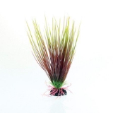 Underwater Treasures Red/Green Hairgrass