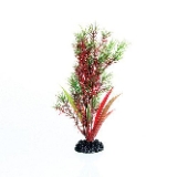 Underwater Treasures Red/Green Springeri