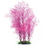 Underwater Treasures Fuscia Fern