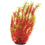 Underwater Treasures Red Ludwigia