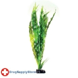 Underwater Treasures Cryptocoryne Balansae
