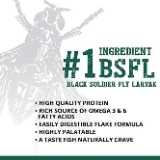 Bug Bites Algae Crisps 100g