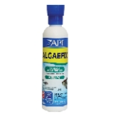 API Algaefix Algae Control 8-Ounce Bottle