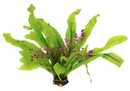 Aquaglobe Silk Plant Marti with Rock Resin Base