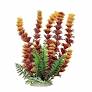 Aquatop Aquatic Supplies 819603014655 Cabomba Fire Aquarium Plant, 20"
